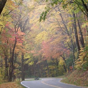 Meet your Posher, Doris